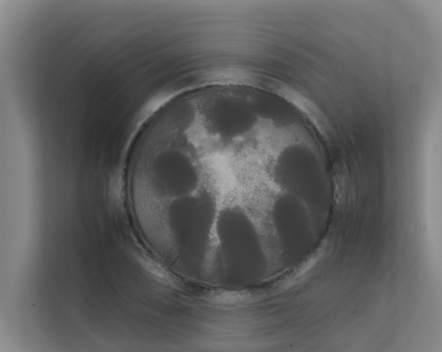 X0000112071074200908041229