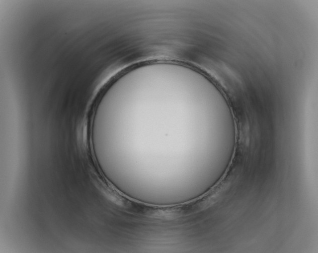 X0000112071078200908041229