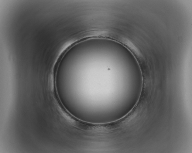 X0000112071079200908041229