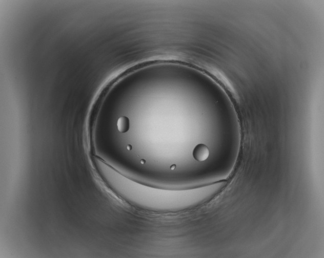 X0000112071080200908041229