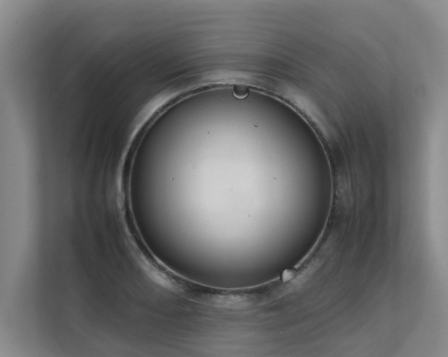 X0000112071082200908041229
