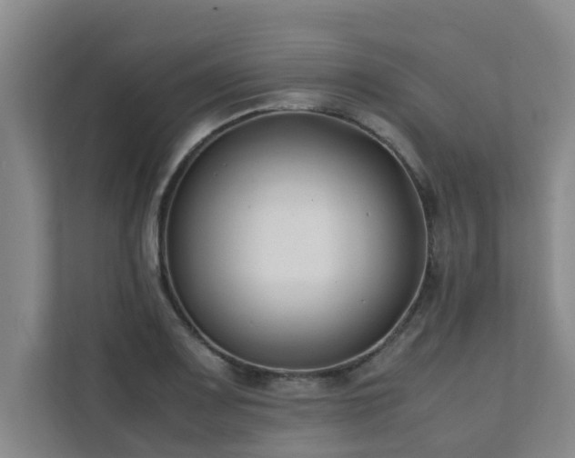X0000112071083200908041229