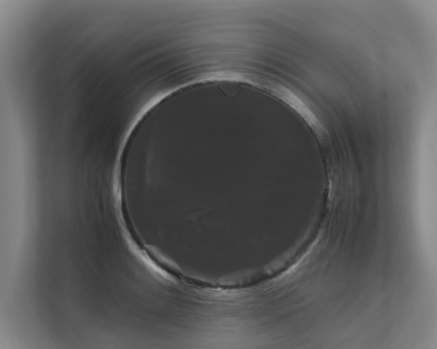 X0000112071084200908041229