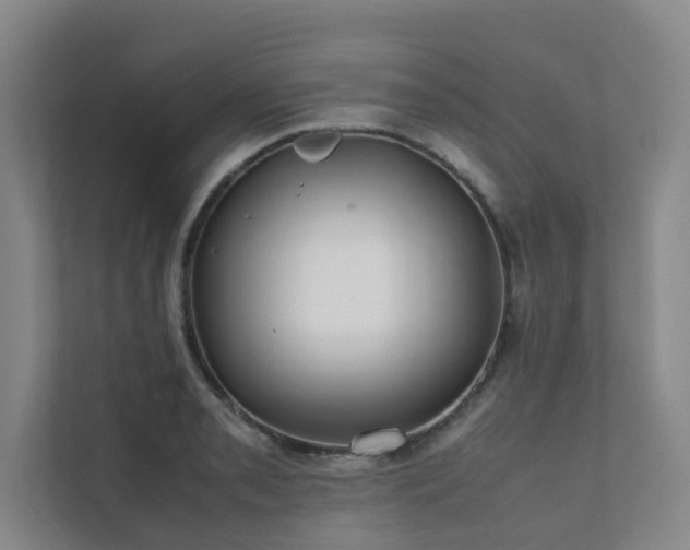 X0000112071085200908041229