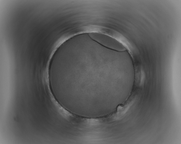 X0000112071088200908041229