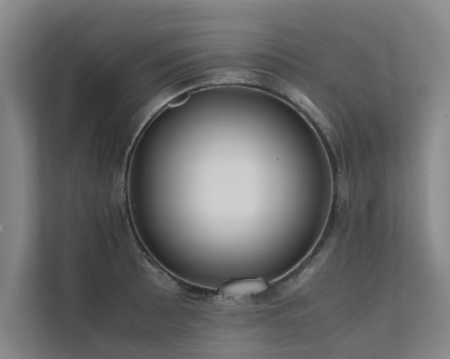 X0000112071089200908041229