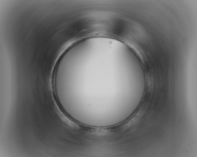 X0000112071090200908041229