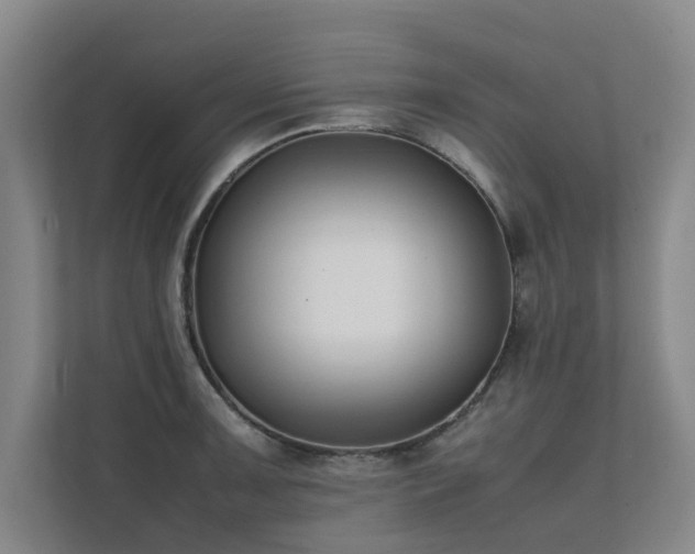 X0000112071091200908041229