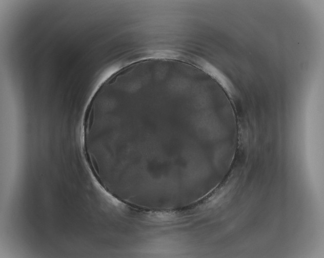 X0000112071095200908041229