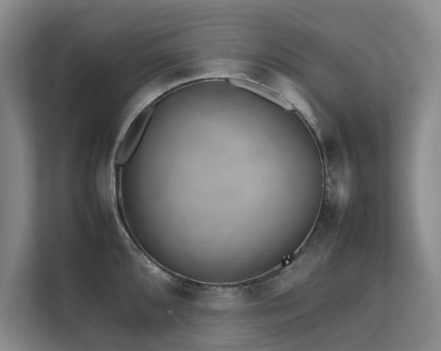 X0000112071096200908041229