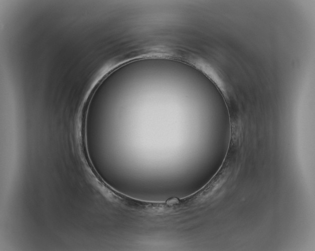 X0000112071099200908041229