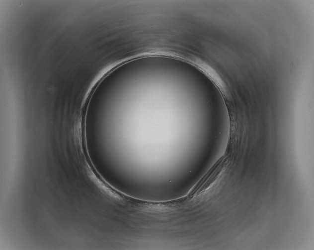 X0000112071100200908041229