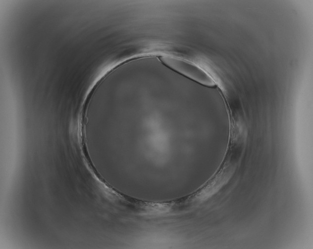 X0000112071101200908041229