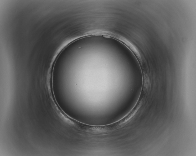 X0000112071102200908041229