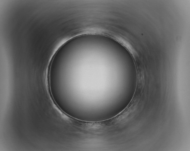 X0000112071103200908041229