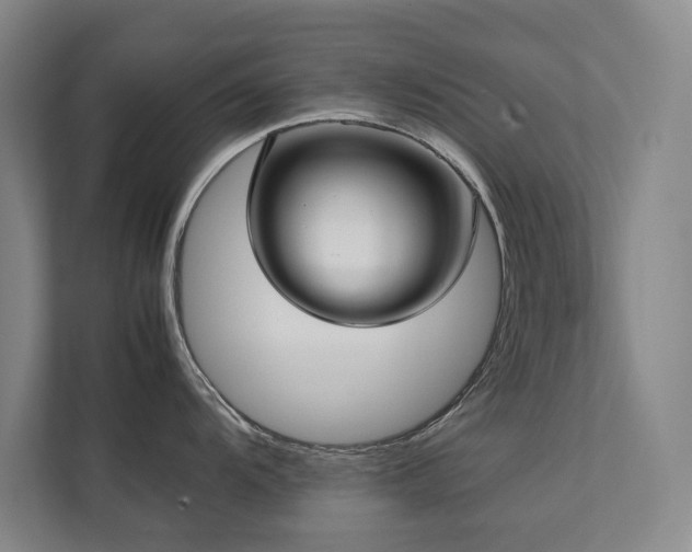 X0000112071104200908041229