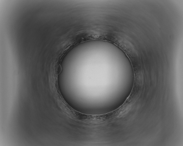 X0000112071105200908041228
