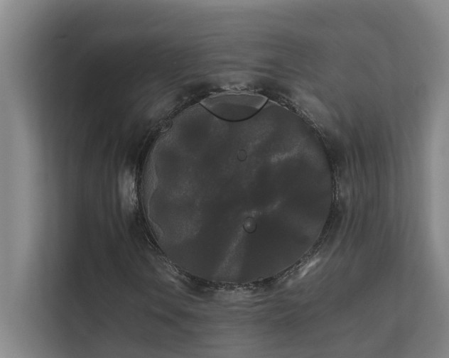 X0000112071106200908041228