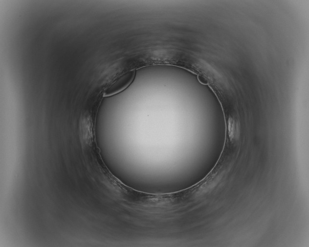 X0000112071107200908041228