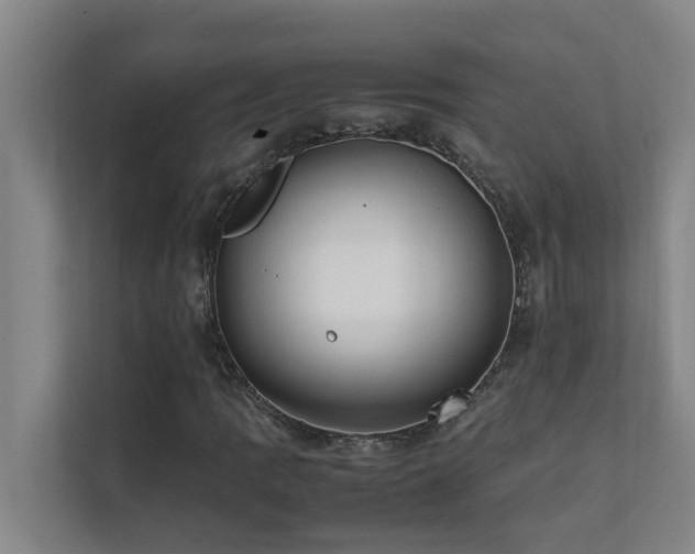 X0000112071109200908041228
