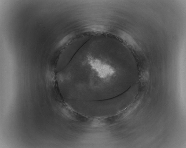 X0000112071110200908041228