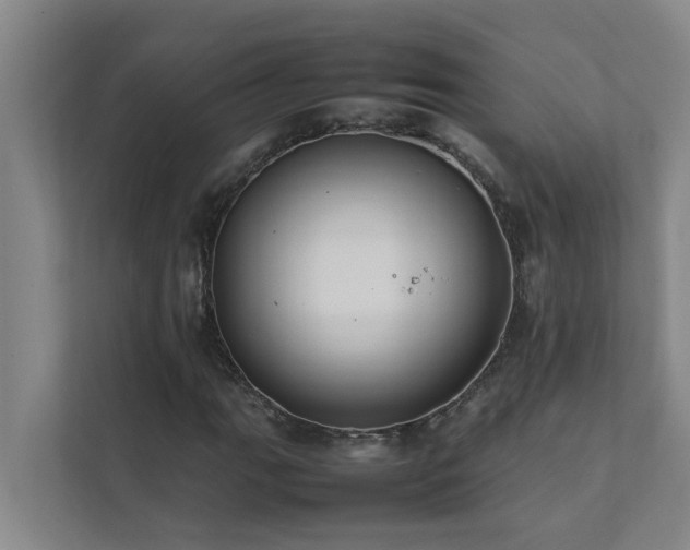 X0000112071111200908041228