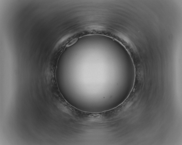 X0000112071112200908041228