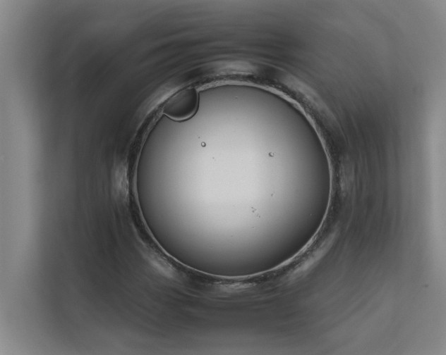 X0000112071113200908041228