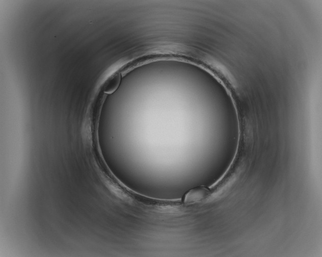 X0000112071114200908041228