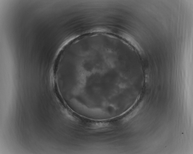 X0000112071117200908041228