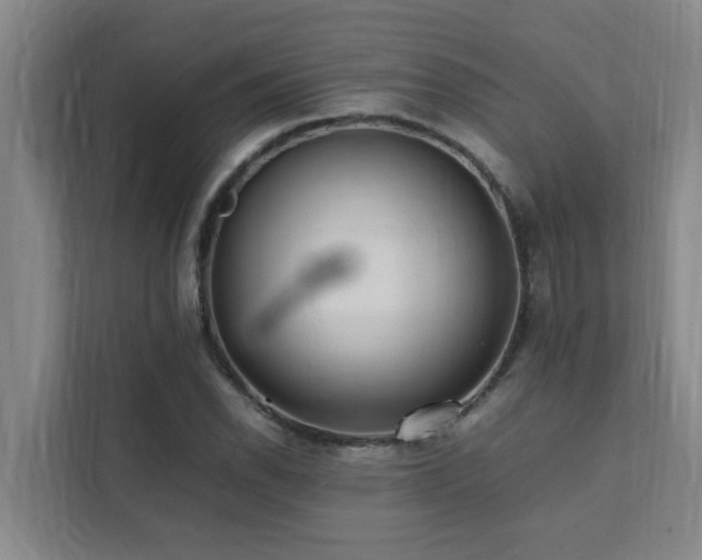 X0000112071118200908041228