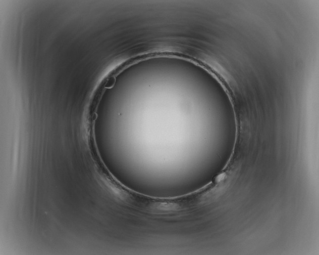X0000112071119200908041228