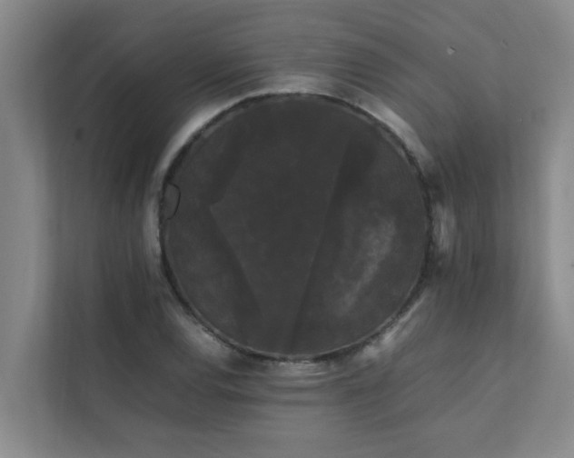 X0000112071120200908041228