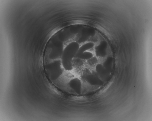 X0000112071121200908041228