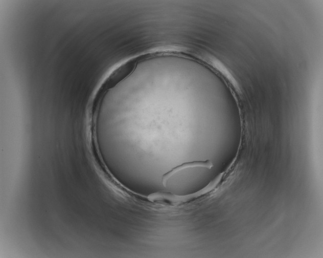 X0000112071124200908041228