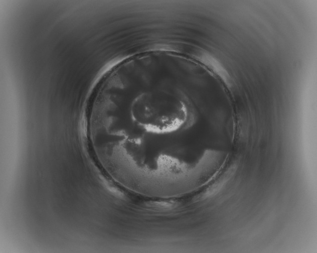 X0000112071125200908041228