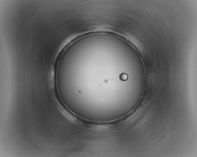 X0000112071126200908041228