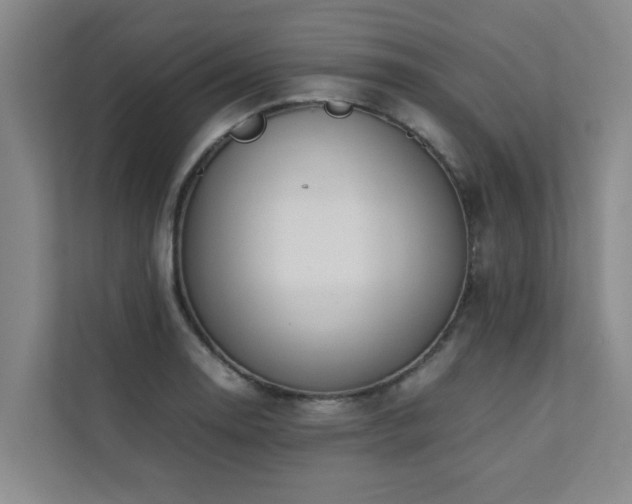 X0000112071130200908041228