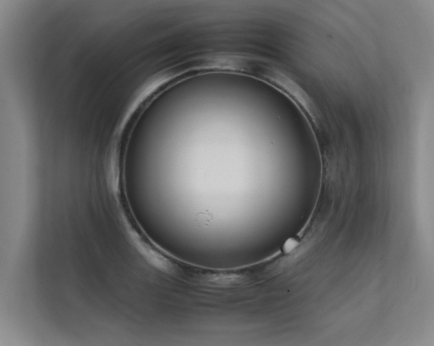 X0000112071131200908041228