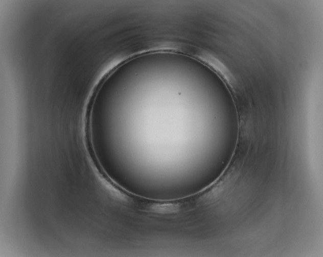 X0000112071135200908041229