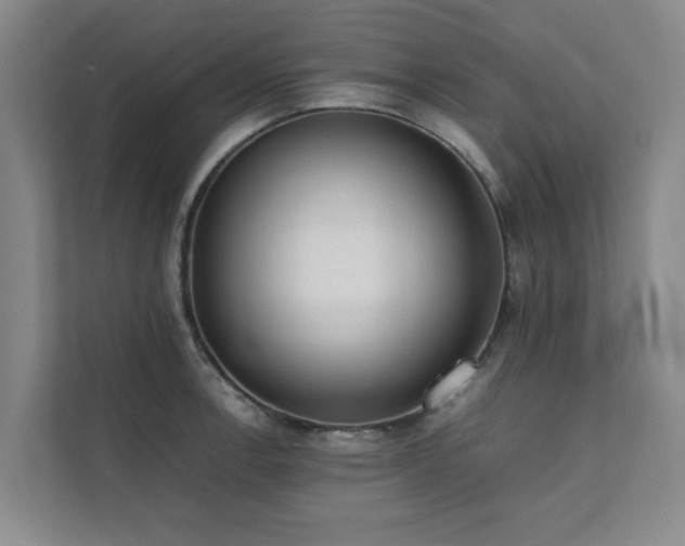 X0000112071138200908041229