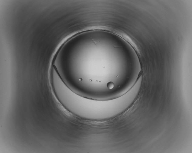 X0000112071140200908041229