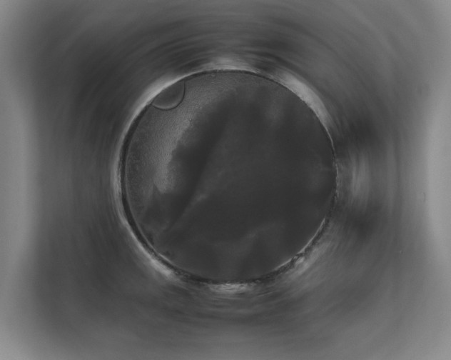 X0000112071141200908041229