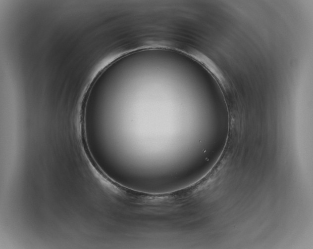 X0000112071143200908041229