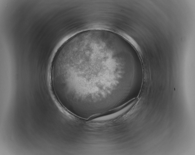 X0000112071144200908041229