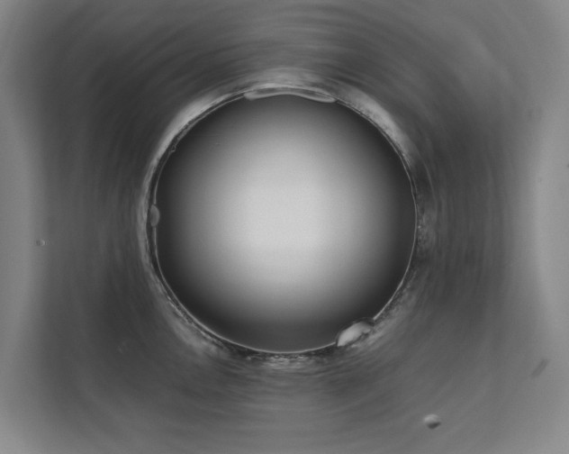 X0000112071146200908041229