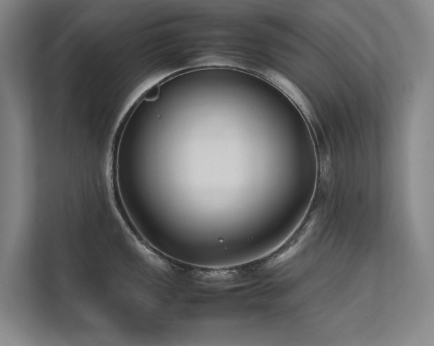 X0000112071149200908041229
