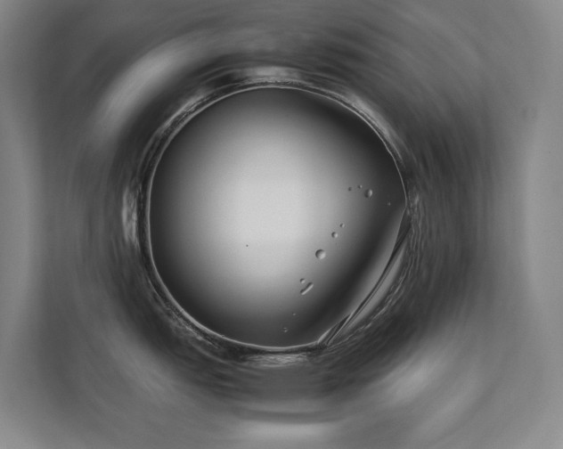 X0000112071151200908041229
