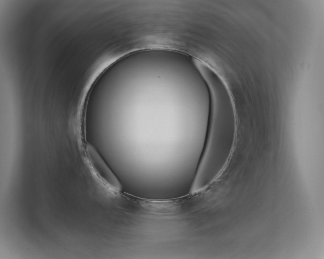 X0000112071152200908041229