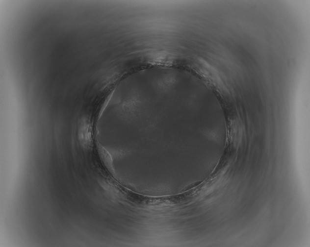 X0000112071154200908041228
